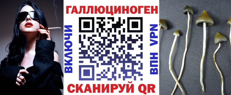 где купить наркоту  Навашино  Псилоцибиновые грибы Psilocybe 