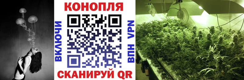 Каннабис семена  Навашино 